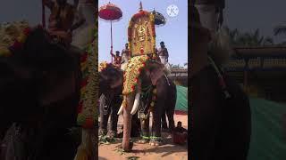 Swamiye saranam ayyappa #viral#shorts#