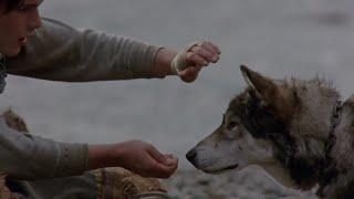 White Fang (1991) | Taming Scene