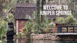 Juniper Springs Recreation Area | Ocala National Forest | Florida Hiking 2023