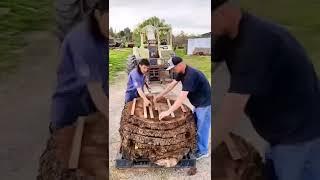 Salvaging Logs in the San Francisco Bay Area - Eric Christopher Art - Live Edge Wood Slabs