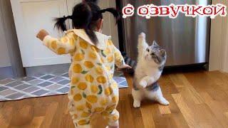 - БИТВА ТИТАНОВ!  Приколы с котами! - С ОЗВУЧКОЙ! Самые смешные животные!