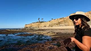 Why Sunset Cliffs Is San Diego’s Best Spot for Golden Hour 