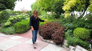 August Garden Tour! Trying to Keep Things Alive in the Heat! 