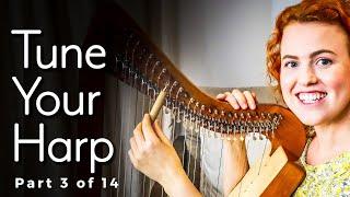 How to Tune a Harp for the FIRST TIME (#3 of 14)