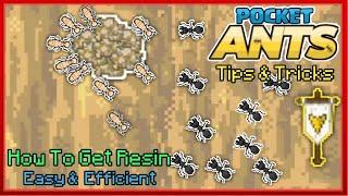 Pocket Ants Tips and tricks - How to get Resin