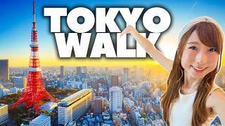 Live Walk - Japan's Most Fantastic Area!