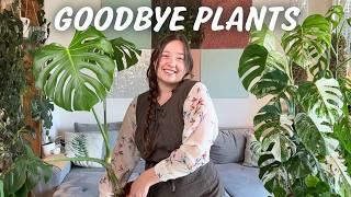 Reducing my Houseplant Collection & Selling Plants from Home