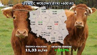 #271 agro wiadomości nonstop - 22 10 2024