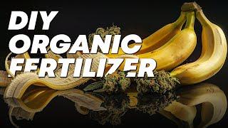 How to make FFJ Organic Fertilizer |   Fast Buds