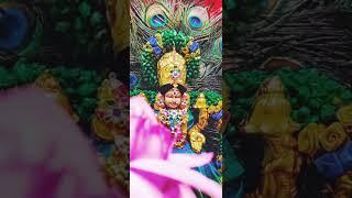 Venkatesh suprabhatha Tirupati Balaji temple #pleasesubscribe #mychannel@vijayalakshmi-li4qk