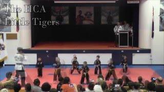 Martial Arts - Hapkido College of Australia: Annual Event 2015