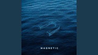 Magnetic (Inst.)