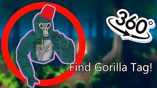 Gorilla Hunt Challenge - Can you Find Gorilla Tag in VR 360° 4K?