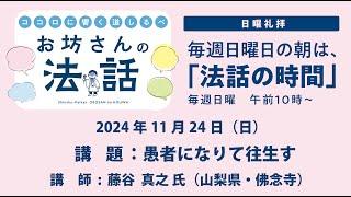 お坊さんの法話　2024年11月24日 「愚者になりて往生す」