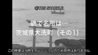 【TBSスパークル】磯で名所は… 茨城県大洗町（その1） Famous places on the shore... Oarai Town, Ibaraki