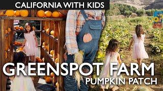 Greenspot Farms Pumpkin Patch