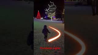 Christmas Lights in Brantford 2024 #christmas #christmaslights #brantford #canada #tree #viralvideo