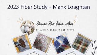 2023 Fiber Study - Manx Loaghtan