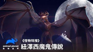 《怪物特搜》紐澤西魔鬼—女巫的第十三個兒子｜動物星球頻道