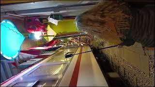 Train street ! Hanoi Train street #trending #youtubeshorts #shorts #short #vietnam #hanoi #trains