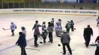 Best kids under 10 mass hockey fight