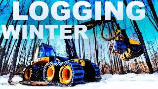 LOGGING HARDWOODS in MICHIGAN U.P. WINTER 2025 with a PONSSE ERGO PROCESSOR!