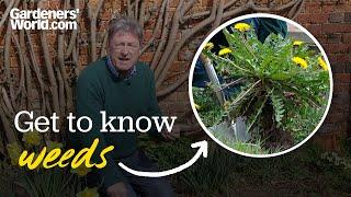 Dealing with annual and perennial weeds | Alan Titchmarsh