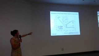 Hannah Übler: Rotation curves of star-forming galaxies and the Tully-Fisher Relation at z~1-2