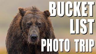 Best Wildlife Photography Destination - Brown Bears of Katmai and Kodiak, AK - Canon R7