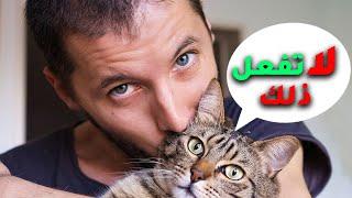 5 تصرفات لا تفعلها لكي تحبك قطتك... كيف تحبك قطتك؟... 5 سلوكيات تجعل القطط سعيدة