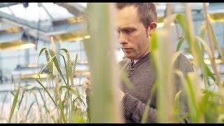 Plant Breeding Matters | Improving our everyday lives