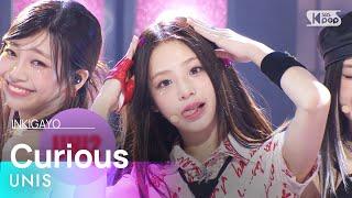 UNIS (유니스) - Curious (너만 몰라) @인기가요 inkigayo 20240811