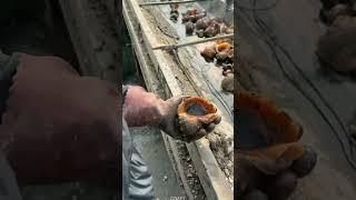 Conch shell salvage technology #craft #shorts #tools