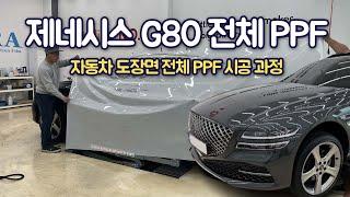 제네시스 G80 전체 PPF 시공 과정을 담아봤습니다