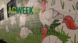 AgweekTV Full Episode 11/16/24 S10E46