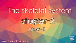 The skeletal system chapter-2class-5ICSE board science chapter (new trends in science)