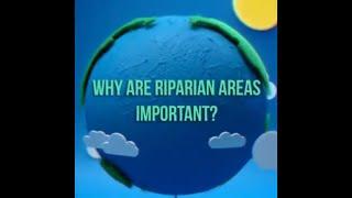 Riparian Areas are Important!