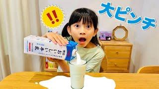 【寸劇】あぶな〜い！つむちゃんが大ピンチ!?牛乳こぼしそうになってギリギリセーフ？　ママコラボ#323【あるある】