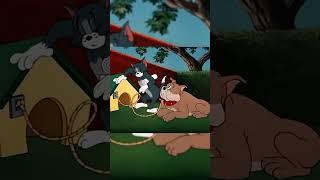 tom and jerry #tomandjerry #cartoon