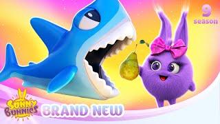 Sharky Fun - SUNNY BUNNIES | BRAND NEW EPISODE | Season 9 | Cartoons for Kids