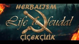 Life is Feudal - Çiçekçilik (Herbalism - Flux - Naphtha - Flavour) - Rehber #2 - TÜRKÇE