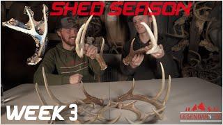 3 Matched sets! Other side to Big 6 - Shed Season - Week 3