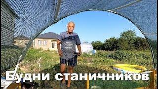 Зачем нам щебень. Плоды физалиса. Рецепты для помидоров