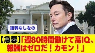 イーロン「人材を募集する、週80時間以上働ける高IQを求む、報酬はゼロだ！」