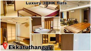 New Luxury full furnished 3bhk flat for sale in chennaiEkkatuthangalmodel 2Anry promoters