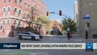 Report shows low morale within Winnipeg Police Service