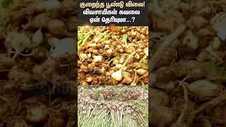 Kodaikanal | Garlic Price | Farmers Demand | TN Govt | Agriculture Dept | Sun News