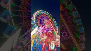 MELA  #mela #shortsvideo #shorts