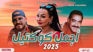 COCTAIL MIX 2025 - BEST OF RAI CHAABI - MASHUP REMIX RAI COMPILATION 2025