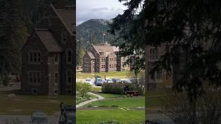 I Went to Banff from Calgary by Bus. More Beavertails Please